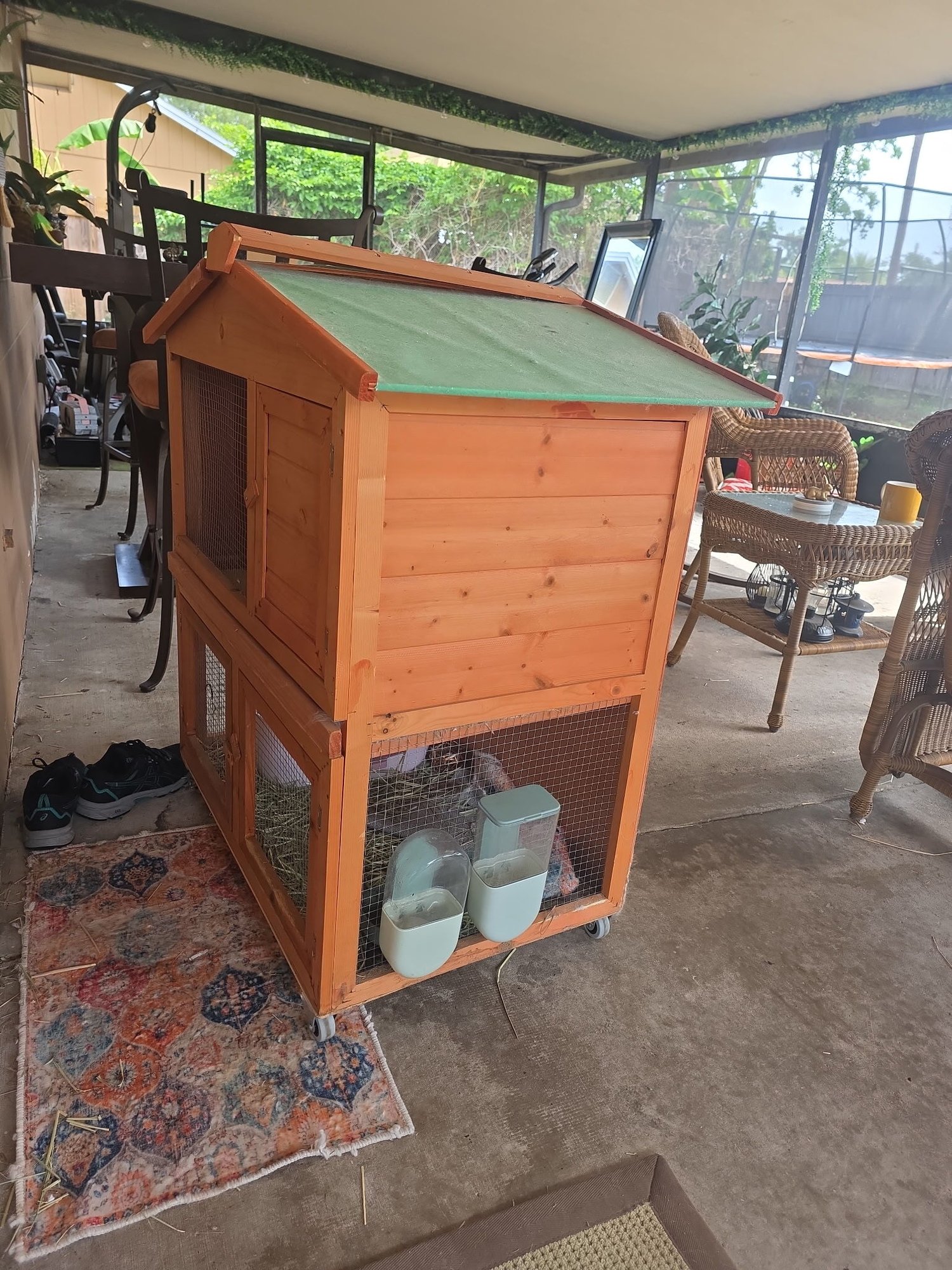 Rabbit Cage 